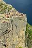 Preikestolen. Fjeldvandrere p� Preikestolen over Lysefjorden  Preikestolen / Forsand / Stavanger Norge   Vandring, vandretur, fjeldvandring, Pulpit Rock, turisme