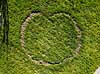 Hekseringe. En heksering med form som et hjerte i græsplæne  Måløv Danmark  svampe haver, græsplæner, dronefoto