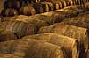Portvin. Portvin lagres til Tawny Port på egetræsfade i vinkælderen hos producenten Taylor's  Vila Nova de Gaia / Porto Portugal   Vin, vine, drikkevarer, vinproduktion, lagring, Taylors