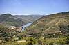 Portvinsmarker. Vinmarker med vinstokke til portvin på begge bredder af Duoro floden   Portugal   Vin, vine, drikkevarer, vinproduktion, vindruer