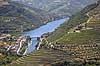 Portvinsmarker. Vinmarker med vinstokke til portvin på begge bredder af Duoro floden   Portugal   Vin, vine, drikkevarer, vinproduktion, vindruer