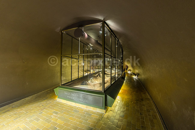 Ladby Skibet. Skibsgrav fra vikingetiden - vikingeh�vding gravlagt i sit skib med heste og hunde i vikingetiden; ; Vikingemuseet Ladby / Kerteminde; Danmark; ; sev�rdigheder; Nationalmuseet, gravh�j, vikinger, konger, h�vdinger, vikingeskibe, Ladbykongen