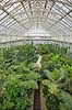 Kew Gardens. Temperate House med palmer og bregner i Kew Gardens / Royal Botanic Gardens, Kew  Kew Gardens / London England  sev�rdigheder Botanisk have, botaniske haver, planter, botanik, drivhuse