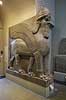 British Museum. Assyriske (ca 865-860 f.kf.) skulpture (winged human-headed bull) fra Nimrud udstillet i The British Museum  The British Museum / London England  sev�rdigheder ark�ologi, Assyrien, Iraq, Irak