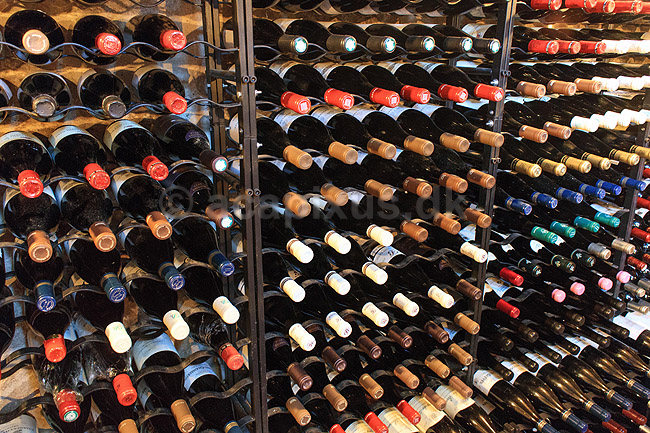 Vink�lder; ; ; Danmark; ; ; Hvidvin, r�dvin, vine, drikkevarer, alcohol, alkohol
