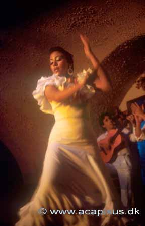 Flamenco danserinde i tablao i Barcelona; ; Barcelona; Spanien; Europa; ; 