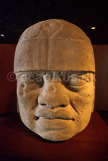 Olmec hoved. Ca. 2 meter h�jt. Udstillet p� Museo Nacional de Antropolog�a; ; Mexico City; Mexico; Nord Amerika; ; 