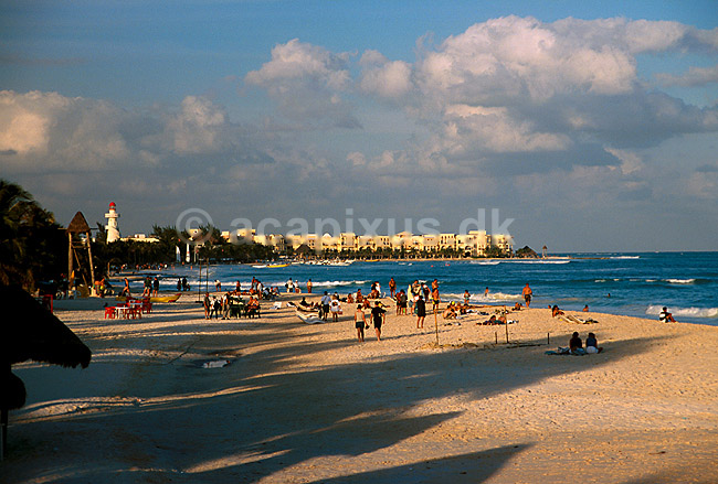 Strandliv p� sandstranden ved Playa del Carmen.; ; Playa del Carmen, Quintana Roo, Yucatan; Mexico; Nord Amerika; ; 