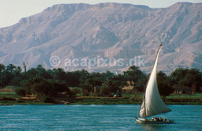 Felucca sejler p� Nilen med bjerge med Kongernes Dal i baggrunden; ; Luxor; Egypten; Afrika; ; felluca, feluca