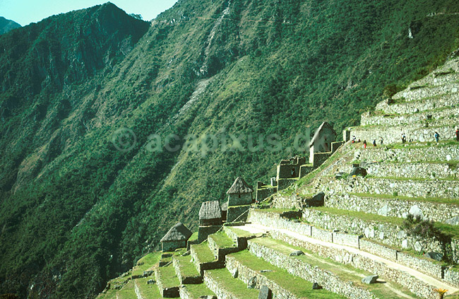 Machu Picchu.; ; Inca Trail / Cuzco; Peru; Syd Amerika; ; 