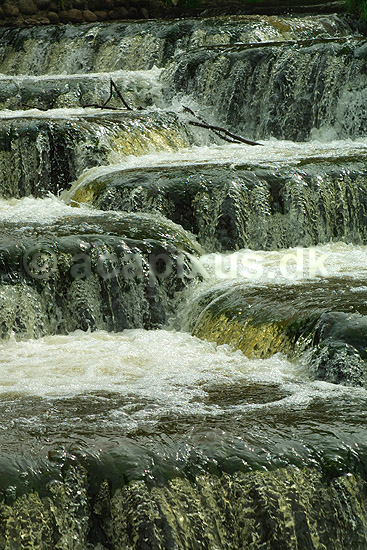 Fisketrappe p� Uggerby � ved Bindslev Elv�rk i Nordjylland; ; ; Danmark; ; ; 