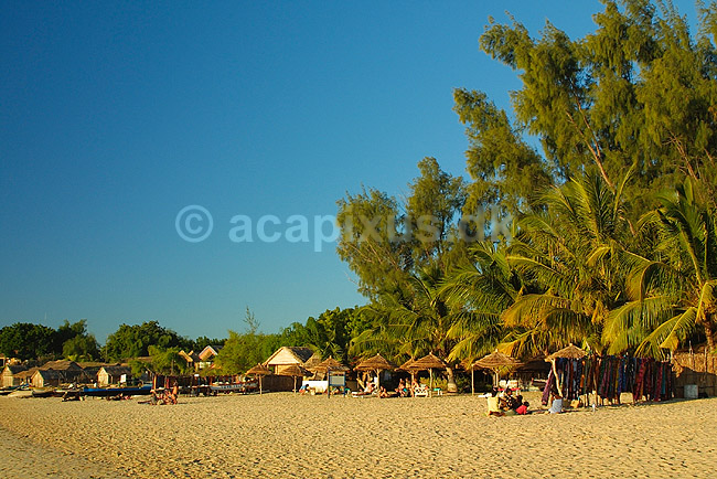 Strandliv på stranden ved Ifaty; ; Ifaty; Madagaskar; Afrika; ; 