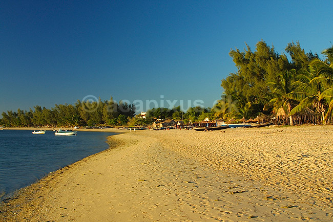 Strandliv på stranden ved Ifaty; ; Ifaty; Madagaskar; Afrika; ; 