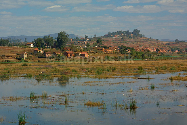 Landsby vest for Antsirabe i det centrale Madagaskar; ; Antsirabe; Madagaskar; Afrika; ; 