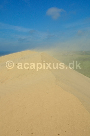 Sandfygning hen over toppen af Rubjerg Knude; ; Rubjerg Knude; Danmark; Europa; ; 