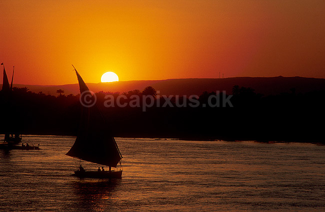 Felucca sejler p� Nilen i solnedgangen ; ; Luxor; Egypten; Afrika; ; landskaber, felluca, feluca