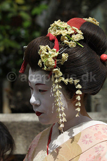 Maiko. Japansk danseinde p� gaden i Gion distriktet i Kyoto; ; Gion / Kyoto; Japan; Asien; ; japansk japanere kvinder makeup make-up kimono k�nsroller