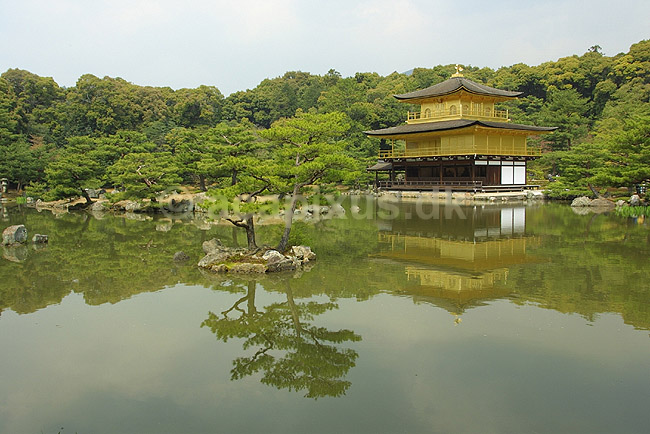 Kinkaku-ji. Den forgyldte pagode ved Kinkaku-ji; ; Kinkaku-ji / Kyoto; Japan; Asien; ; templer