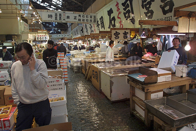 Tsukiji Fish Market. Handlende tidligt om morgenen p� Tsukiji Fish Market; ; Tsukiji Fish Market / Tokyo; Japan; Asien; ; markeder frisk fisk sushi