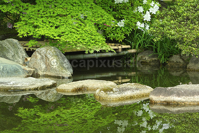 Koryu-ji. Dam i japansk have i Koryu-ji templet i Kyoto; ; Koryu-ji / Osaka; Japan; Asien; ; haver