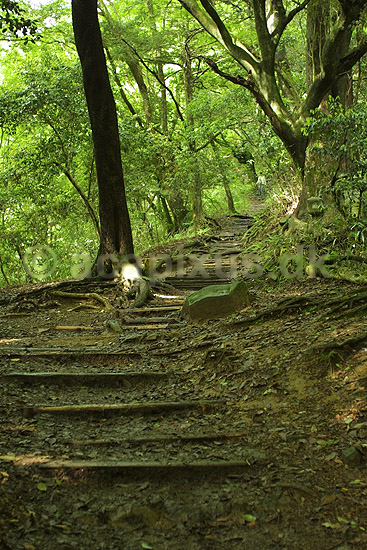 Kurama til Kibune stien. Vandrestien imellem Kurama og Kibune; ; Kurama; Japan; Asien; ; 