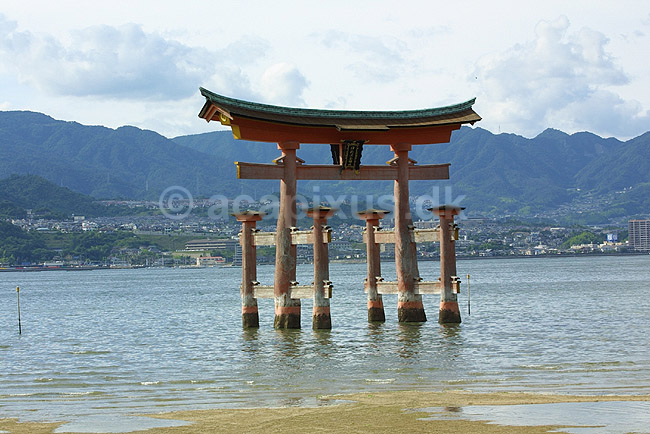 Itsukushima-jinja shrine. The Floating Torii ved Itsukuskima-jinja shrine templet p� Miya-jima; ; Miya-jima / Itsuku-shima; Japan; Asien; ; templer shintoisme