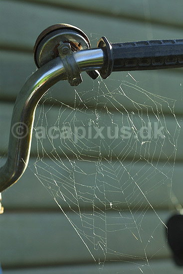 Edderkoppespind. Edderkoppespind p� cykel; ; ; Danmark; ; spindlere; Edderkopper, ringeklokker, cykling