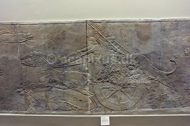Natural History Museum. Assyrisk (ca 645-635 f.kf.) relief fra Nineveh udstillet i London Natural History Museum; ; The British Museum / London; England; ; sev�rdigheder; ark�ologi, Assyrien, Iraq, Irak