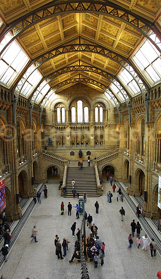 Natural History Museum. Central Hall i London Natural History Museum; ; The British Museum / London; England; ; sev�rdigheder; Museer