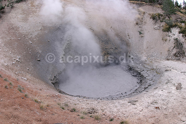 Mudvolcano. Boblende mudderpøl i Mud Volcano; ; Yellowstone National Park / Wyoming; USA; Nord Amerika; ; Geothermisk, geotermisk varme
