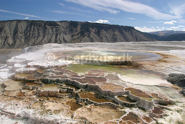 Mammoth Hot Springs. Terasser af vandfald med varmt vand ved Mammoth Hot Springs i Yellowstone NP.; ; Yellowstone National Park / Wyoming; USA; Nord Amerika; ; Geothermisk, geotermisk varme