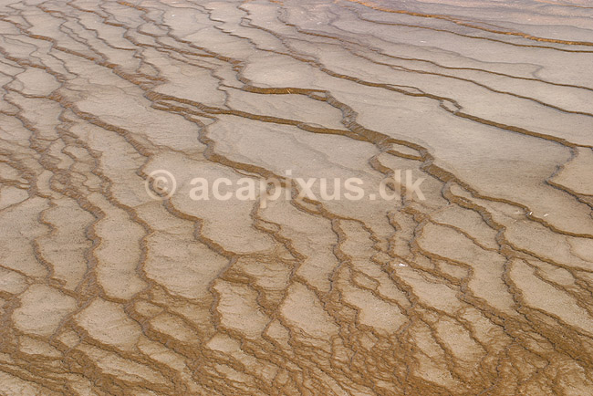 Geyser. Kalkstensaflejringer fra varmt fra Grand Prismatic Spring ved Midway Geyser Basin i Yellowstone NP har dannet kunstneriske m�nstre.; ; Yellowstone National Park / Wyoming; USA; Nord Amerika; ; Geothermisk, geotermisk varme, geysere