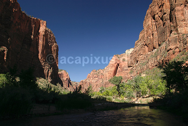 Zion National Park. North Fork Virgin River l�ber gennem Zion Canyon i Zion National Park; ; Zion National Park / Wyoming; USA; Nord Amerika; ; Bjerge, nationalparker, floder, sandsten